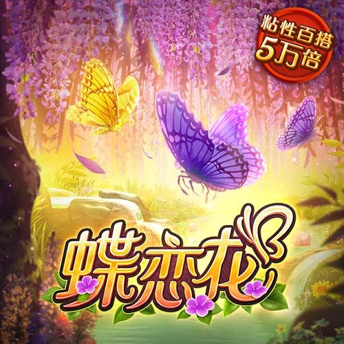 新奥门宝典下载app